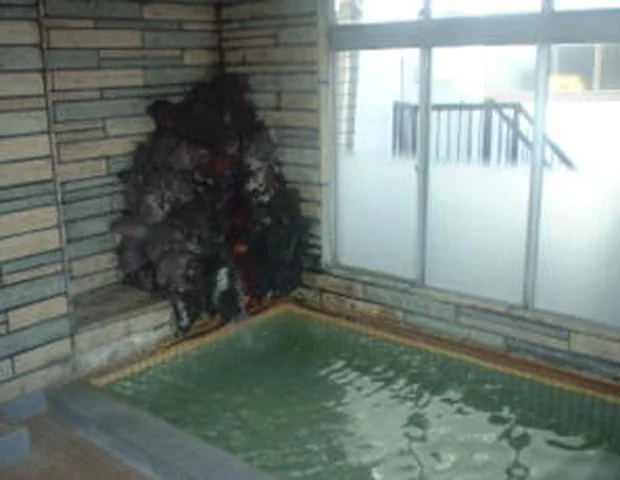 藪塚温泉 西山館
