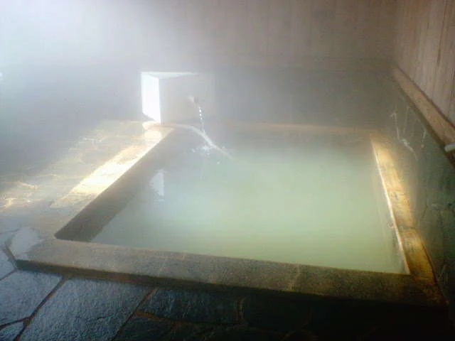 総社温泉センター せせらぎの湯（閉館しました）