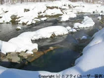 蟠渓温泉 オサル湯