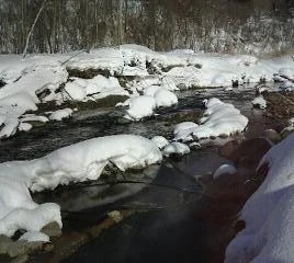蟠渓温泉 オサル湯