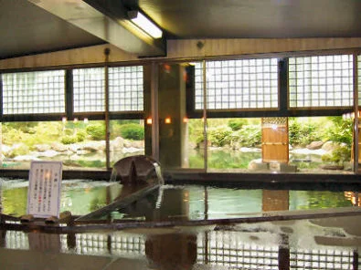 群馬藤岡 森の温泉ホテル - 群馬県