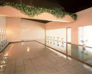 Pall Call Tsumagoi Resort Ski & Hotel - Gunma