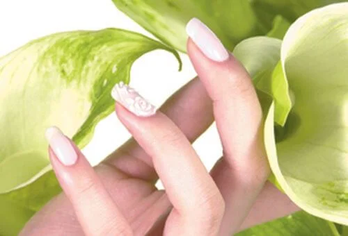 フォトアルバム19