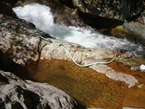 平田内露天風呂熊の湯（閉鎖中）