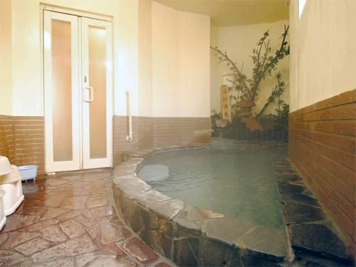 新潟屋旅館 - 群馬県