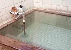 Kusatsu Onsen Japanese-style Pension Hoshikawa - Gunma