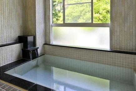 湯桧曽の宿 あべ - 群馬県