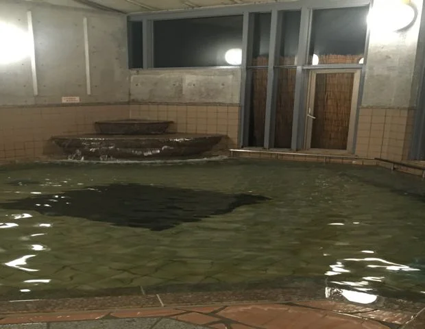 ユーランド新田 新田温泉 やくしの湯