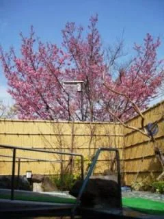 白井温泉こもちの湯（閉館しました）