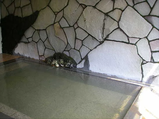 鹿澤館(閉館しました)