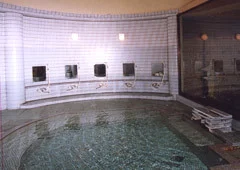 Minakami Onsen Ryokan Sanrakuso - Gunma