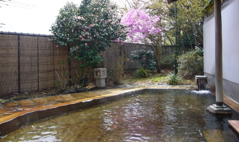 トップメイン画像1