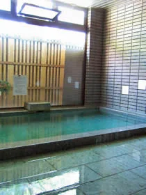 片品温泉 旅館うめや