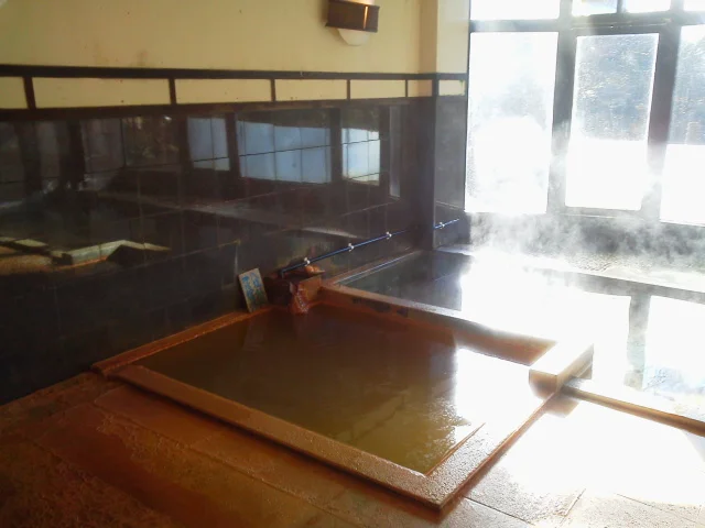 八塩温泉 神水館