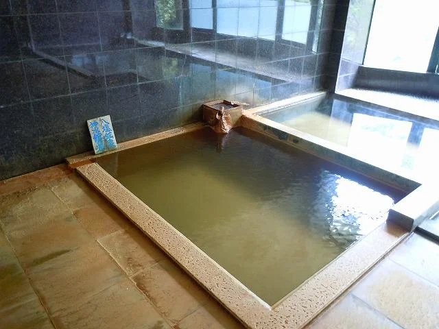 八塩温泉 神水館