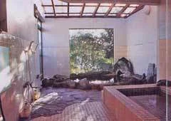 Isobe Onsen Ryokan Isobe-so - Gunma