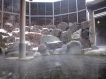 ホテルグリーンプラザ軽井沢（奥軽井沢温泉「暁の湯」）