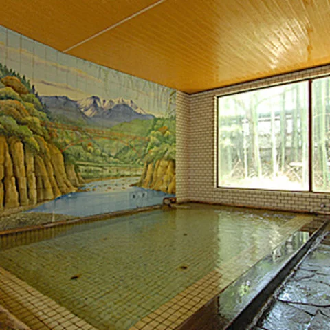 Sarugakyo Onsen Sports Lodge Fujiya - Gunma
