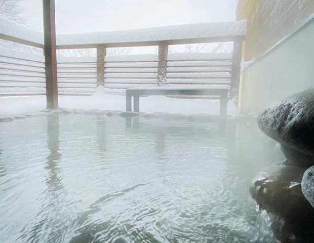 さなざわ㞢テラス(旧 真沢の森)
