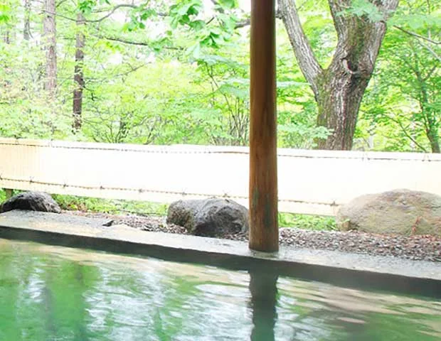 草津ハイランドホテル(閉館しました)