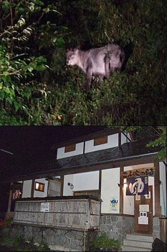 こぶしの湯