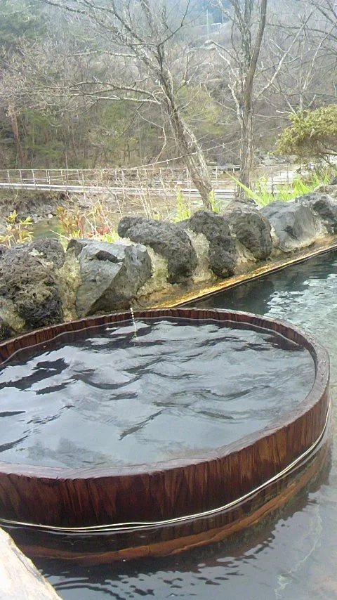 半出来温泉 登喜和荘