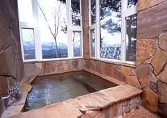 Karuizawa Petit Hotel Etoile Avenue - Gunma