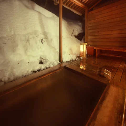 水芭蕉の宿　温泉　ひがし - 尾瀬 - 群馬県
