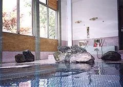 温泉源の宿 塩屋温泉館 - 群馬県
