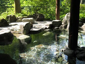 Kawabata of Wind Tree Purple Bright Pavilion - Oku-Tone - Gunma