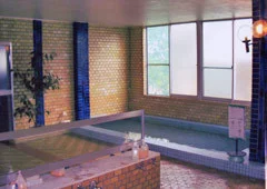 武尊高原　白樺 - 尾瀬 - 群馬県