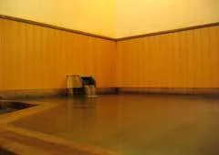 Ryoshin Onsen Shirokabe no Yado New Makisui-en - Gunma