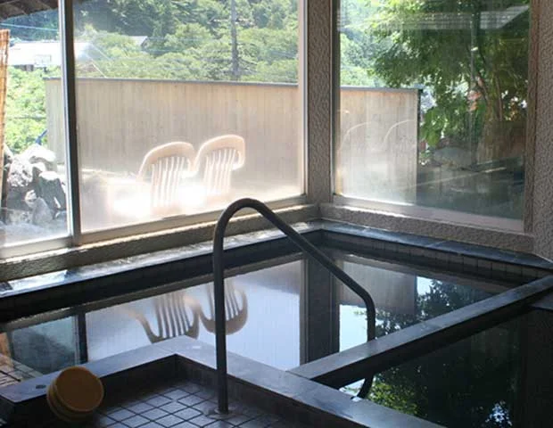 源泉かけ流しの宿 金龍園