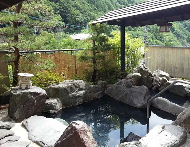 源泉かけ流しの宿 金龍園