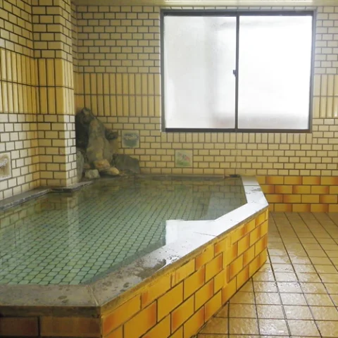 片品温泉　こしもと旅館 - 群馬県