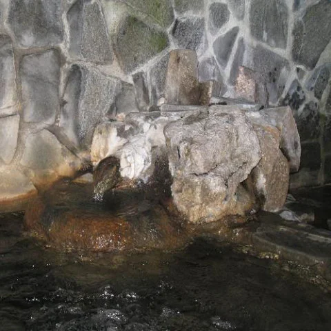 猿ヶ京温泉 仁田屋旅館(にたや)
