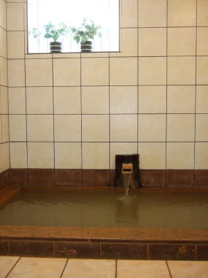 伊香保温泉 丸本館