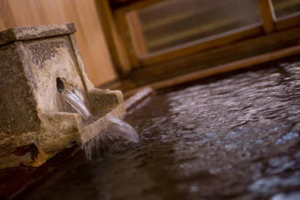 Kusatsu Onsen Kusatsu Sakura Resort Hotel - Gunma