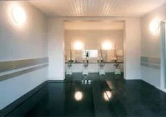 Roshin Onsen, Western-style Hot Spring Inn Harber Heart - Gunma