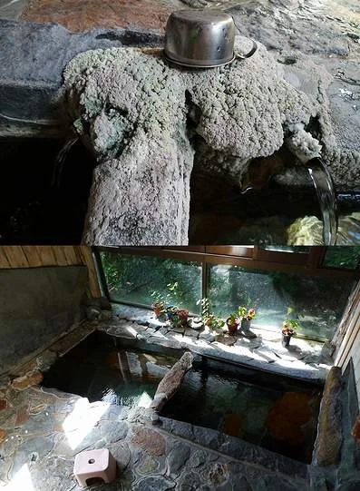 中生館