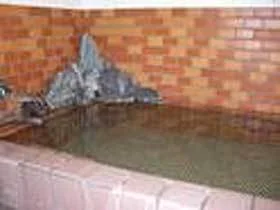 尾瀬戸倉温泉　ペンション　ゆきみち - 群馬県