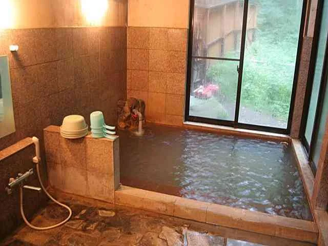 御所平温泉 かくれの湯