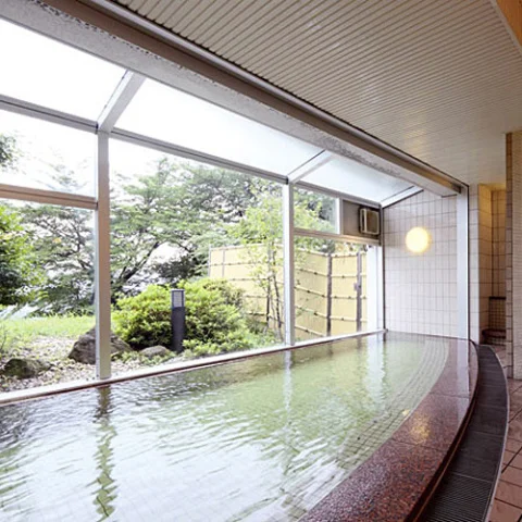 天守閣の宿 北橘温泉 たちばなの郷 城山 - 群馬県