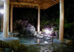 Isobe Onsen Yuyake-Koyake no Yado Takadai Ryokan - Gunma