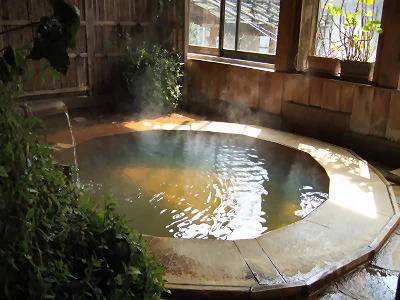 花の宿 湯之沢館