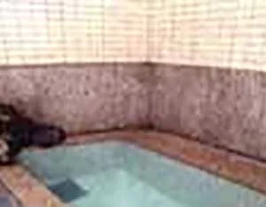 薬師の湯　湯元館