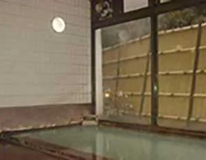 薬師の湯　湯元館