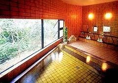 片品温泉　旅館つちいで - 群馬県