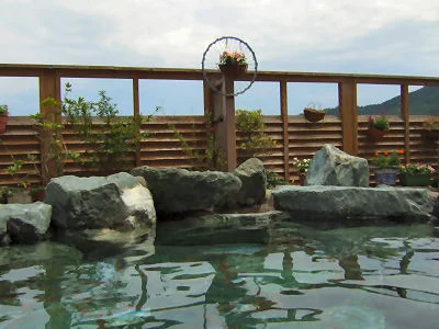 桜山温泉 絹の里別邸（休業中）（旧 桜山温泉センターうしおの湯）