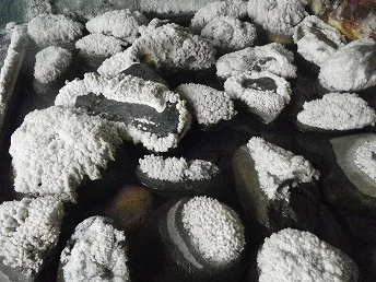 湯宿温泉 湯本館